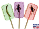 https://image.noelshack.com/fichiers/2016/16/1461250552-sucettes-insectes-1-1595-w620.jpg