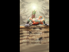 https://image.noelshack.com/fichiers/2016/17/1461826857-sftaq0c2.png