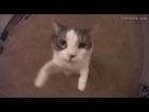 https://image.noelshack.com/fichiers/2016/17/1461958387-giphy.gif