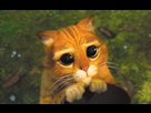 https://image.noelshack.com/fichiers/2016/18/1462202681-le-chat-potte.jpg