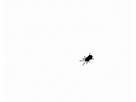 https://image.noelshack.com/fichiers/2016/18/1462303713-bug-crawls-on-screen.gif