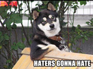 https://image.noelshack.com/fichiers/2016/18/1462511412-hater-gonna-hate-dog.jpg