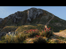 https://image.noelshack.com/fichiers/2016/18/1462699601-gta5-2016-05-08-11-15-30-19.jpg