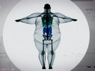 https://image.noelshack.com/minis/2016/18/1462720314-cool-x-ray-fat-person-bones.png