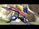 https://image.noelshack.com/fichiers/2016/19/1462892844-super-smash-bros-nintendo-amphinobi-pokemon.jpg