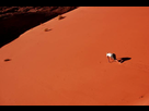 https://image.noelshack.com/fichiers/2016/19/1462977912-desert-crawl-art.jpg