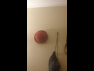 https://image.noelshack.com/fichiers/2016/19/1462984535-dsc-0215.jpg