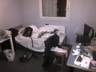 https://image.noelshack.com/fichiers/2016/19/1462991539-img-20151118-00026.jpg