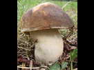 https://image.noelshack.com/fichiers/2016/19/1463239589--.jpg