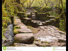 https://image.noelshack.com/fichiers/2016/19/1463317814-ruines-au-milieu-de-la-foret-en-galicie-43087085.jpg