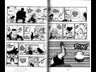 https://image.noelshack.com/fichiers/2016/20/1463714175-dragon-ball-tome-06-42.jpg
