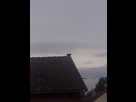 https://image.noelshack.com/fichiers/2016/20/1463771858-android-image-05-20-2016.jpg