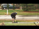 https://image.noelshack.com/fichiers/2016/20/1463777933-l9d334gydbocg.gif