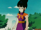 https://image.noelshack.com/fichiers/2016/20/1463839077-chichi-chi-chi-dragon-ball-31002965-480-360.jpg