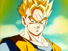 https://www.noelshack.com/2016-20-1463855582-gohan-du-futur.png