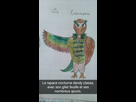 https://image.noelshack.com/fichiers/2016/21/1464031201-snapchat-1540490910765601725.jpg
