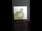 https://image.noelshack.com/fichiers/2016/21/1464203118-20160525-180625.jpg