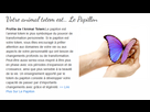 https://image.noelshack.com/fichiers/2016/21/1464522174-papillion.png