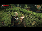 https://image.noelshack.com/fichiers/2016/21/1464528771-briquetier-the-witcher-3.jpg