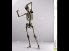 https://image.noelshack.com/fichiers/2016/22/1464632697-posing-bones-25978072.jpg