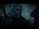 https://image.noelshack.com/fichiers/2016/22/1465058197-witcher3-2016-06-04-18-34-34-397.png