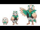 https://www.noelshack.com/2016-22-1465125704-rowlet-evolution-line-by-linkmakker-da321jl.png