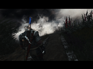 https://image.noelshack.com/fichiers/2016/22/1465143550-witcher3-2016-06-05-13-28-25.png