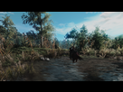 https://image.noelshack.com/fichiers/2016/22/1465143574-witcher3-2016-06-04-23-22-14.png