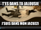 https://image.noelshack.com/fichiers/2016/23/1465331373-cajlxawwaaa320s.jpg