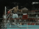 https://image.noelshack.com/fichiers/2016/23/1465382870-dodge.gif