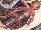 https://image.noelshack.com/fichiers/2016/23/1465404584-foetus3.jpg