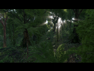 https://image.noelshack.com/fichiers/2016/23/1465485694-arma3-2016-06-09-17-06-47-425.jpg