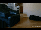 https://image.noelshack.com/fichiers/2016/23/1465495338-photofunky.gif