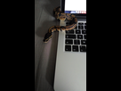 https://image.noelshack.com/fichiers/2016/23/1465572074-img-10062016-130552.jpg