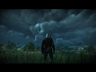 https://image.noelshack.com/fichiers/2016/23/1465583066-witcher3-2016-06-10-20-21-46-273.png