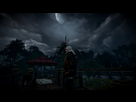 https://image.noelshack.com/fichiers/2016/23/1465594858-witcher3-2016-06-10-23-40-41-455.png