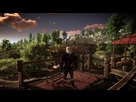 https://image.noelshack.com/fichiers/2016/23/1465594871-witcher3-2016-06-10-23-39-05-775.png