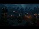 https://image.noelshack.com/fichiers/2016/23/1465598187-witcher3-2016-06-11-00-19-47-791.png