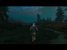 https://image.noelshack.com/fichiers/2016/23/1465598370-witcher3-2016-06-10-21-08-32-892.png