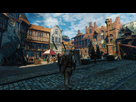 https://image.noelshack.com/fichiers/2016/23/1465598507-witcher3-2016-06-10-20-59-22-088.png