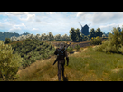 https://image.noelshack.com/fichiers/2016/23/1465598824-witcher3-2016-06-10-21-02-21-355.png