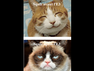 https://image.noelshack.com/fichiers/2016/24/1465843723-e3-4.png