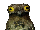 https://image.noelshack.com/fichiers/2016/24/1466091241-4.png