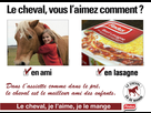 https://image.noelshack.com/fichiers/2016/24/1466097147-findus-cheval-lasagne-humour.jpg