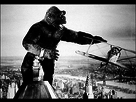 https://image.noelshack.com/fichiers/2016/24/1466123095-05kong1a-lg-6029.jpg