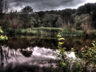 https://image.noelshack.com/fichiers/2016/24/1466160823-p6140586-tonemapped.jpg