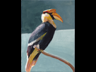 https://image.noelshack.com/fichiers/2016/26/1467045206-oiseau.jpg
