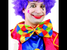 https://image.noelshack.com/fichiers/2016/26/1467130248-gui-16013-grand-noeud-papillon-30cm-clown.jpg
