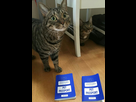 https://image.noelshack.com/fichiers/2016/26/1467155453-img-20160629-011046.jpg