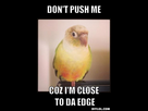 https://image.noelshack.com/fichiers/2016/26/1467466167-resized-yo-meme-generator-don-t-push-me-coz-i-m-close-to-da-edge-091216.jpg
